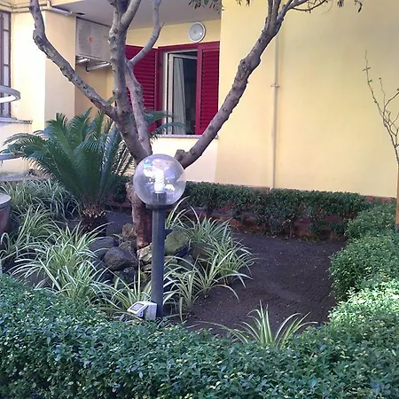 Hotel Del Pino 3*